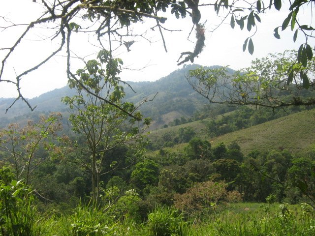 Foto: En El Toronche - El Limo (Loja), Ecuador
