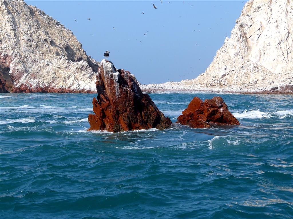 Foto de Islas Ballestas, Perú