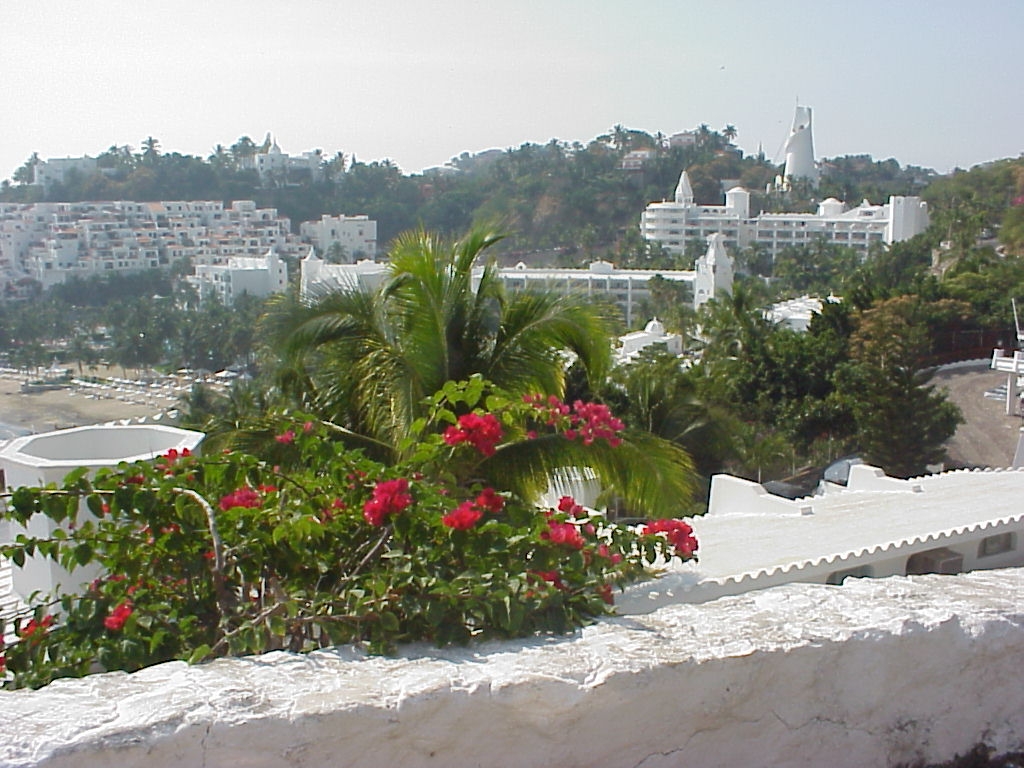 Foto: Vista de Las Hadas - Manzanillo (Colima), México