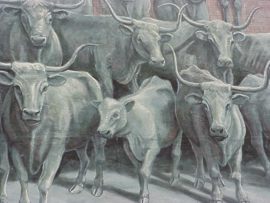 Foto: Mural en pared - Fort Woth (Texas), Estados Unidos