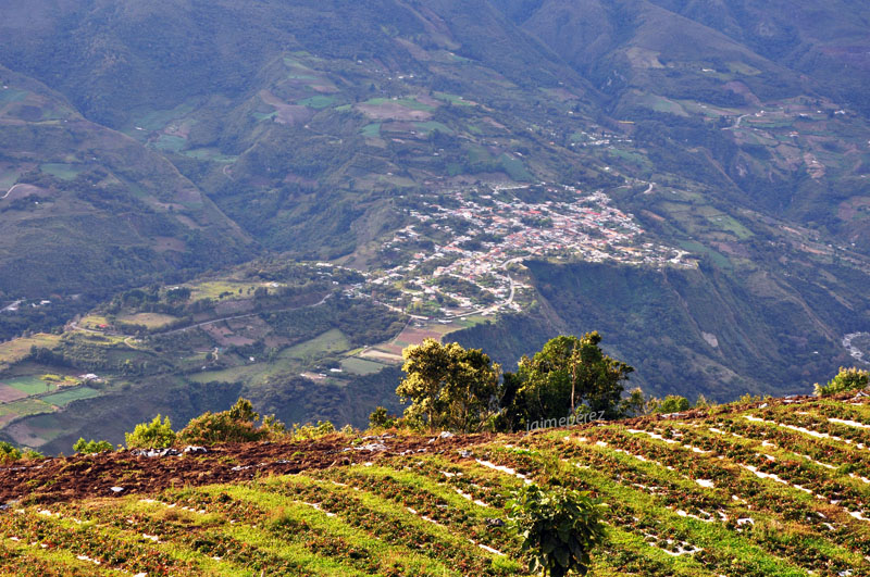 Foto: Niquitao - Niquitao (Trujillo), Venezuela