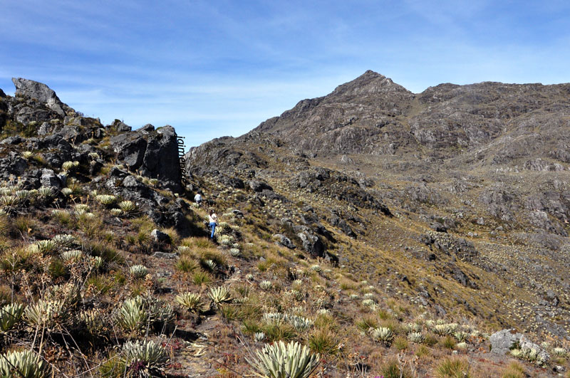 Foto: La Teta - Niquitao (Trujillo), Venezuela