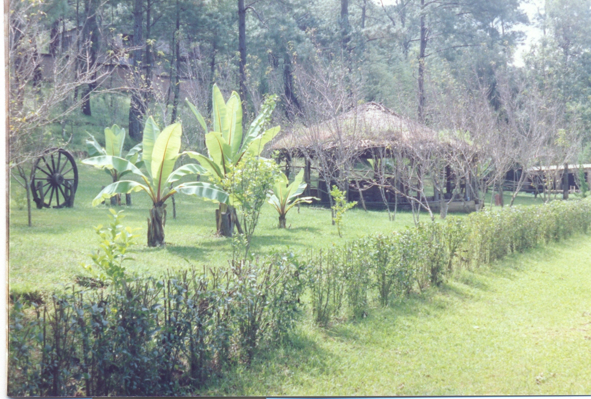 Foto: SIERRA DEL TIGRE. - Gomes Farias (Jalisco), México