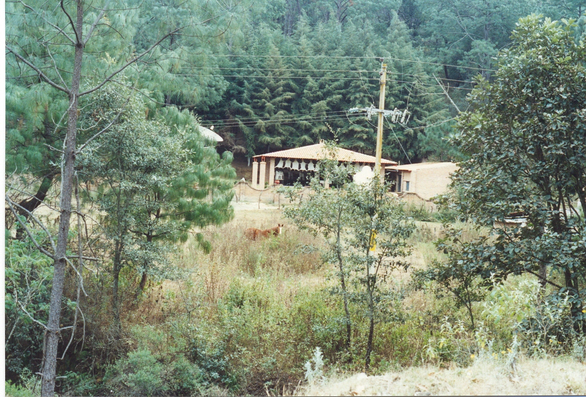 Foto: A PLENO BOSQUE - Gomes Farias (Jalisco), México