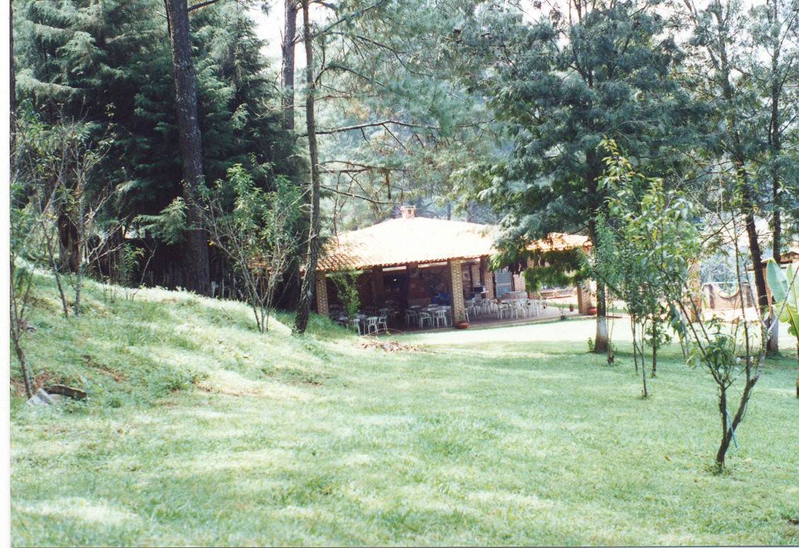 Foto: TERRAZA EN EL BOSQUE - Sierra de Mata, Gomes Farias (Jalisco), México