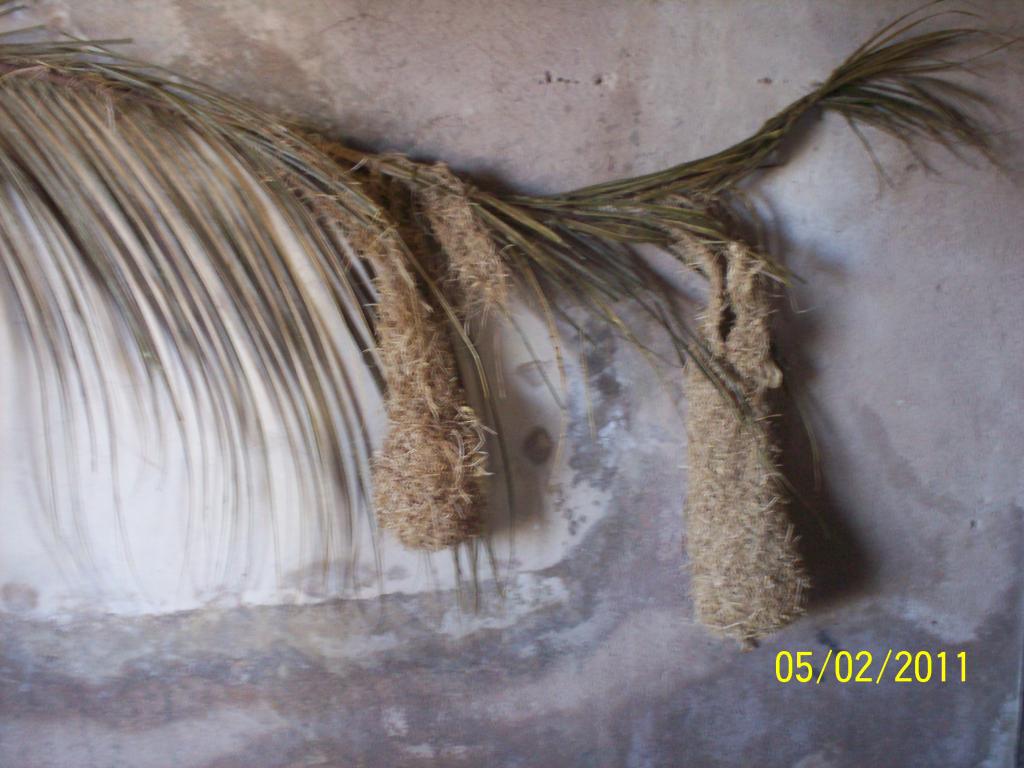 Foto de Granada, Nicaragua