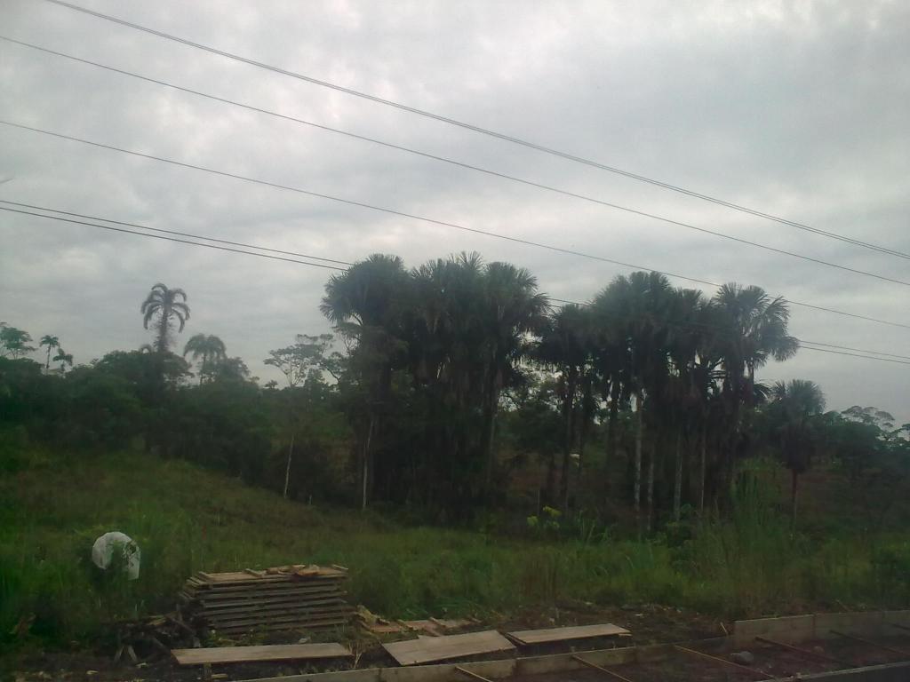 Foto de Puyo, Ecuador