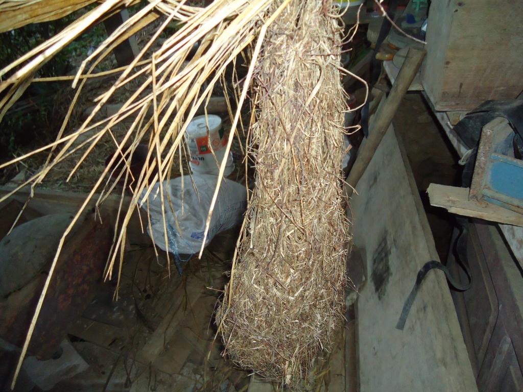 Foto de Shell-Pastaza, Ecuador