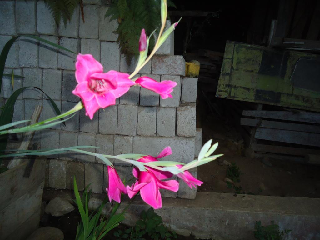 Foto de Te Zulay (Shell), Ecuador