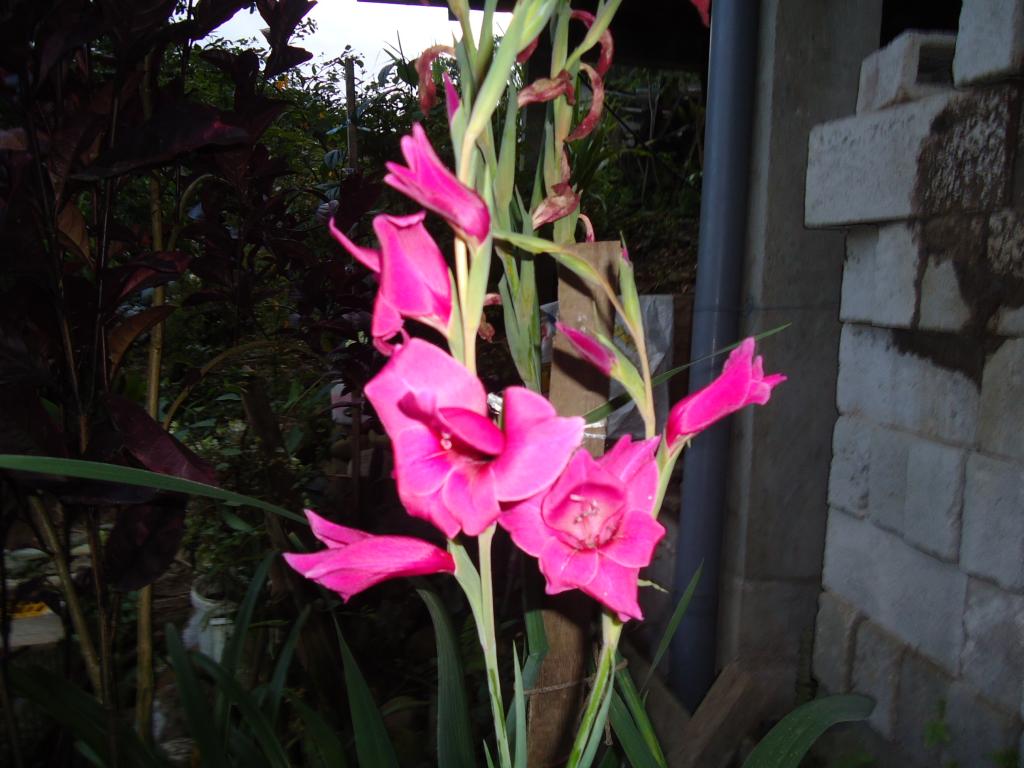 Foto de Te Zulay (Shell), Ecuador