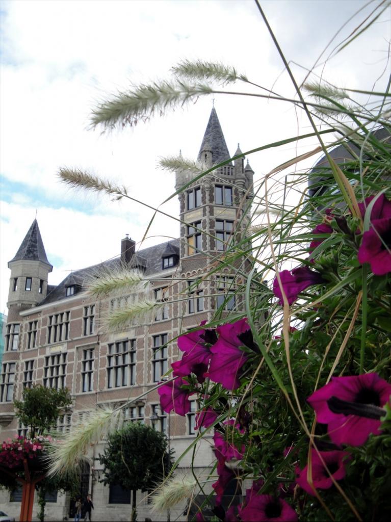 Foto: Instituto Flamenco de Logística - Antwerpen (Flanders), Bélgica