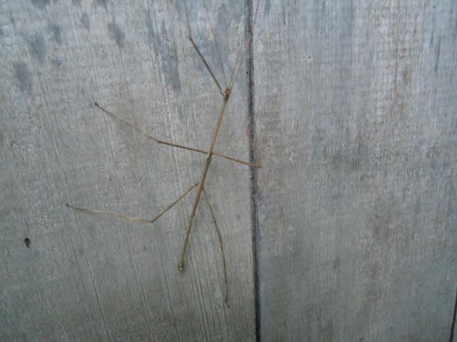 Foto de Shell (Te Zulay), Ecuador