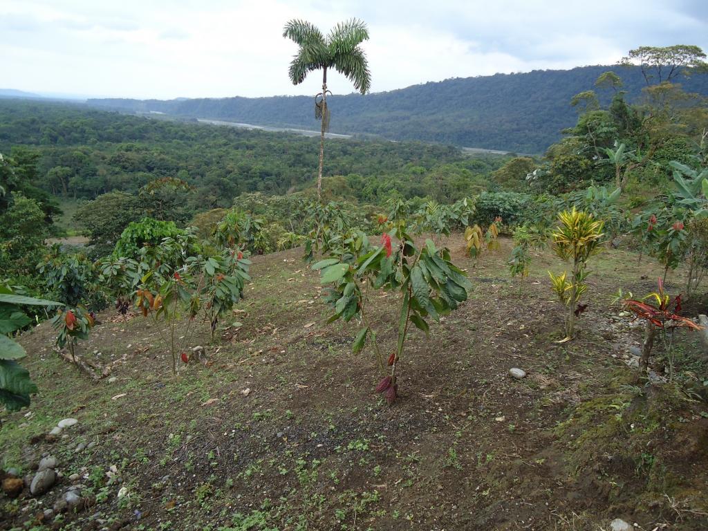 Foto de Moravia, Ecuador