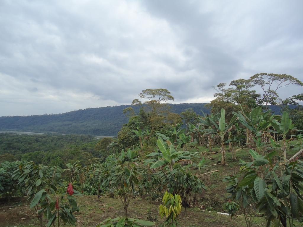 Foto de Moravia, Ecuador