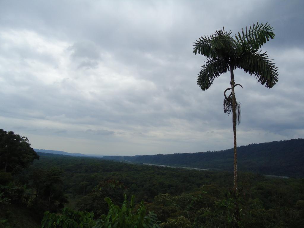 Foto de Moravia, Ecuador
