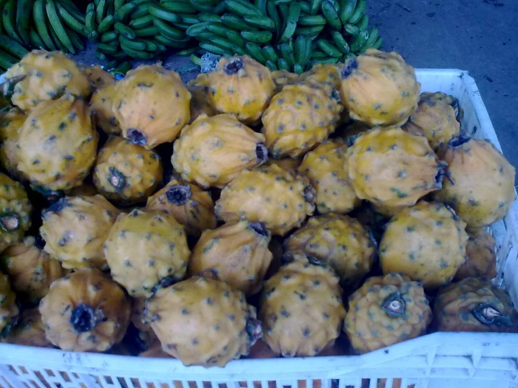 Foto de Puyo, Ecuador