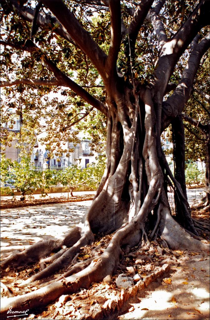 Foto de Palermo (Sicilia), Italia