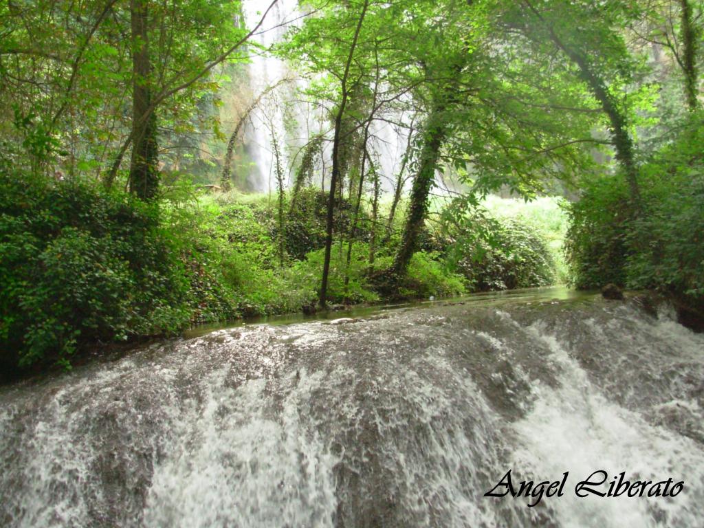 Foto: Monasterio De Piedra - Nuévalos (Zaragoza), España
