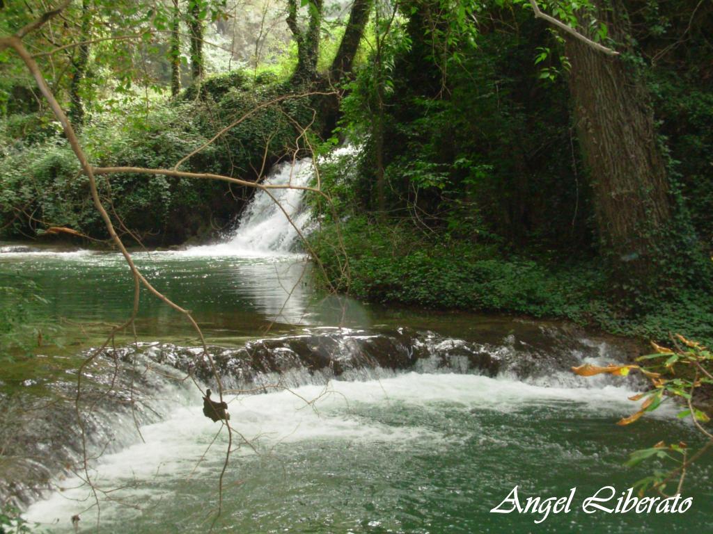 Foto: Monasterio De Piedra - Nuévalos (Zaragoza), España