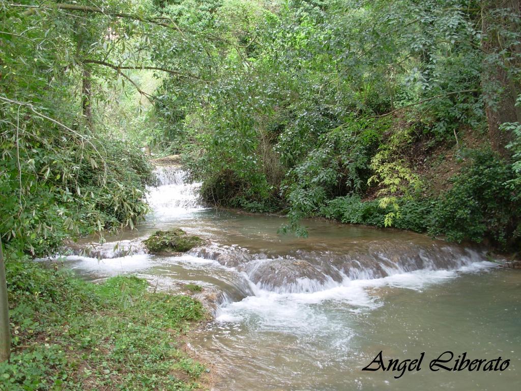 Foto: Monasterio De Piedra - Nuevalos (Zaragoza), España