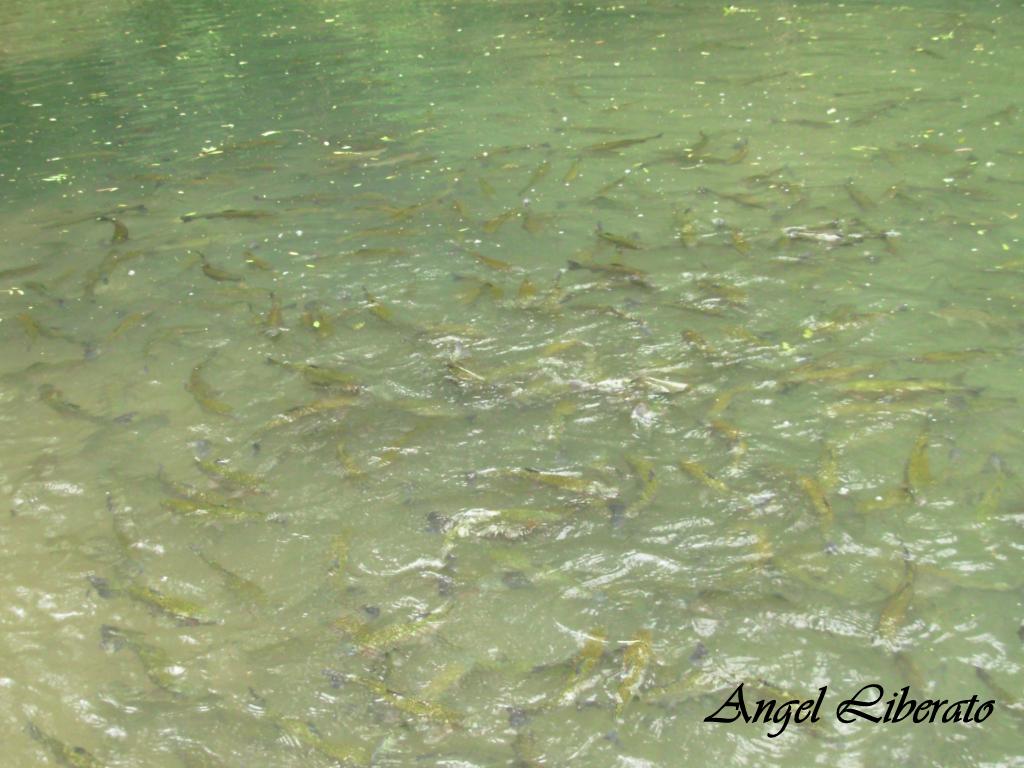 Foto: Monasterio De Piedra - Nuevalos (Zaragoza), España
