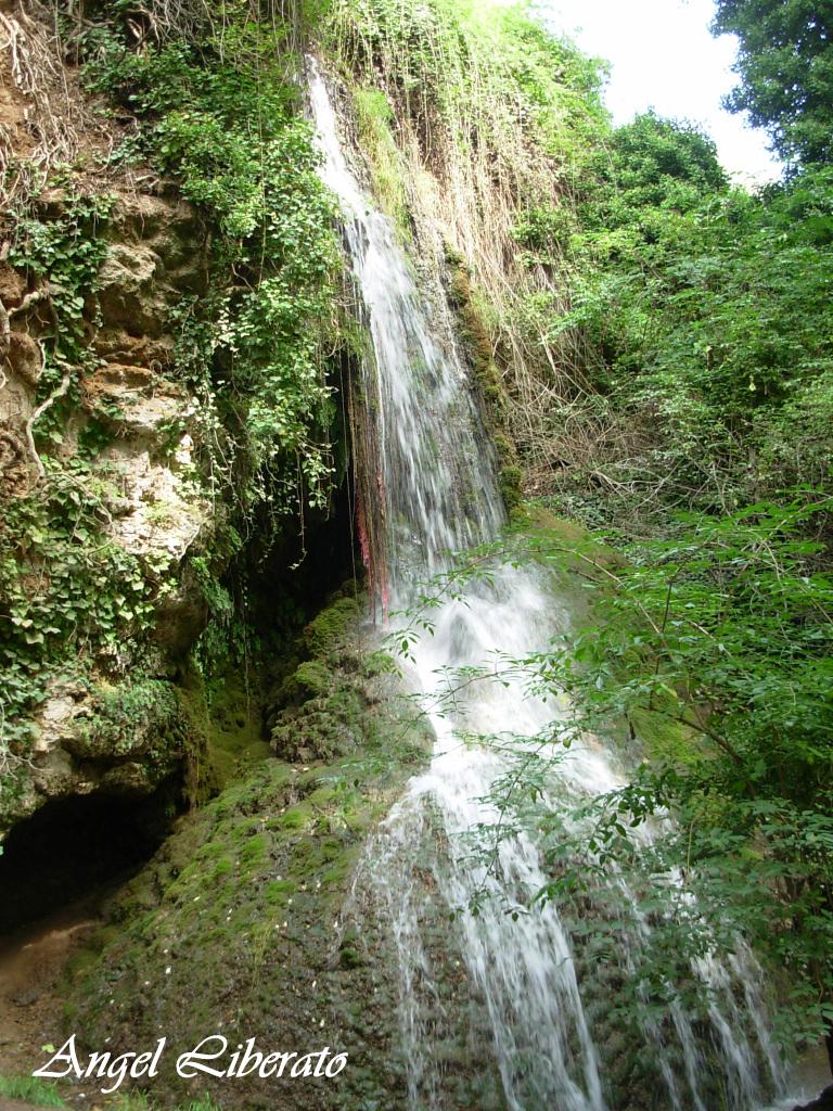 Foto: Monasterio De Piedra - Nuevalos (Zaragoza), España