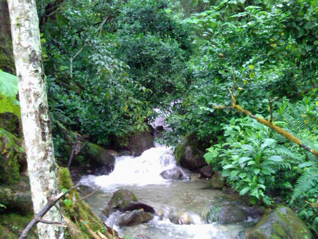 Foto: Jose Italico - Aracay (Mérida), Venezuela