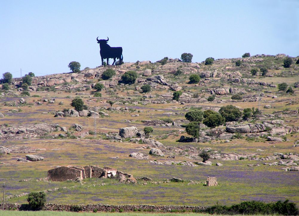 Foto: El toro de Osborne en una dehesa extremeña - Cáceres (Extremadura), España