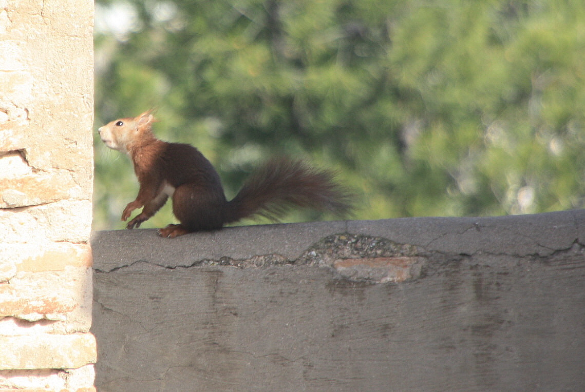 Foto de Sagunto (València), España