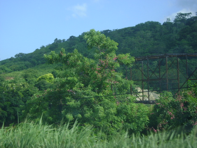 Foto de Chamelecon (Cortés), Honduras