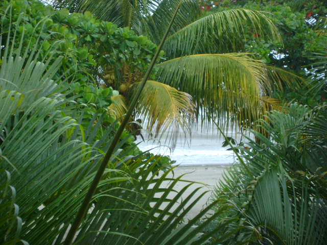 Foto: Playas - La Ceiba (Atlántida), Honduras