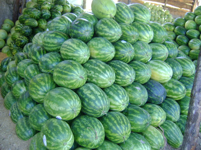 Foto: Sandias - La Paz, Honduras