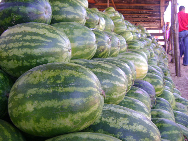 Foto: Sandias - La Paz, Honduras