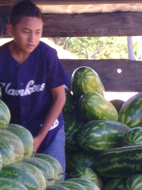 Foto: Sandias - La Paz, Honduras