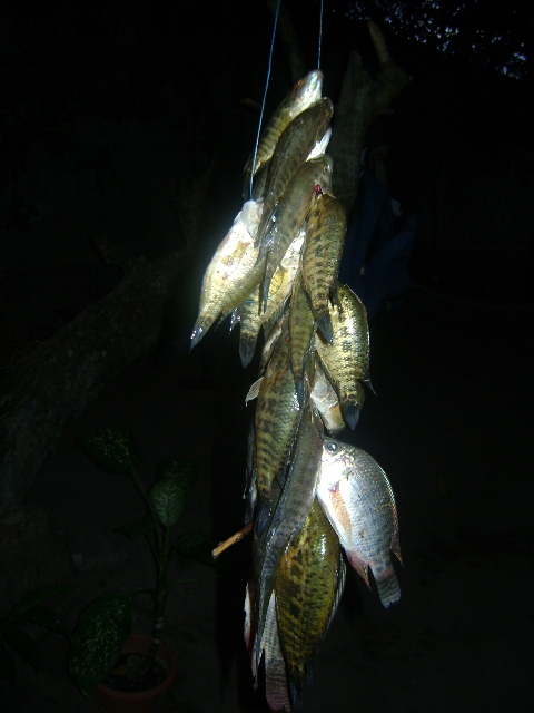 Foto: De Pesca - La Paz, Honduras