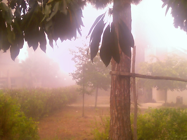 Foto: DIA DE LLUVIA - Kibutz Gbat (Northern District), Israel