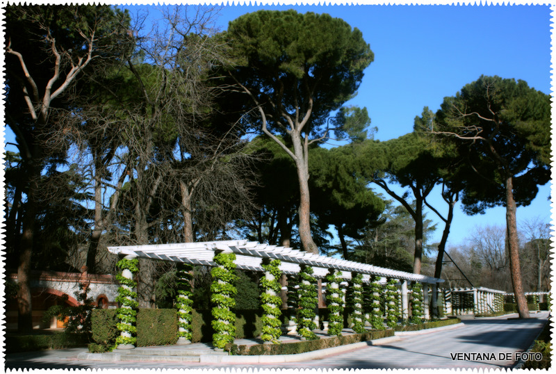 Foto: PARQUE DEL RETIRO - Madrid (Comunidad de Madrid), España