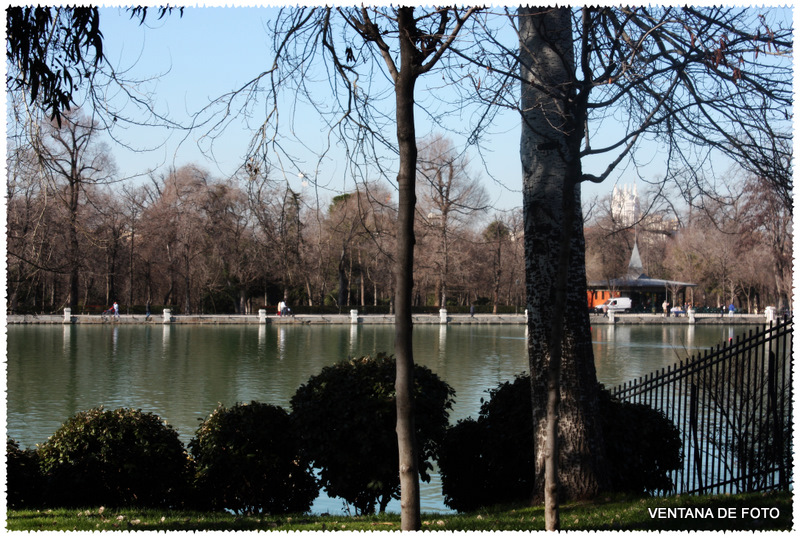 Foto: PARQUE DEL RETIRO - Madrid (Comunidad de Madrid), España