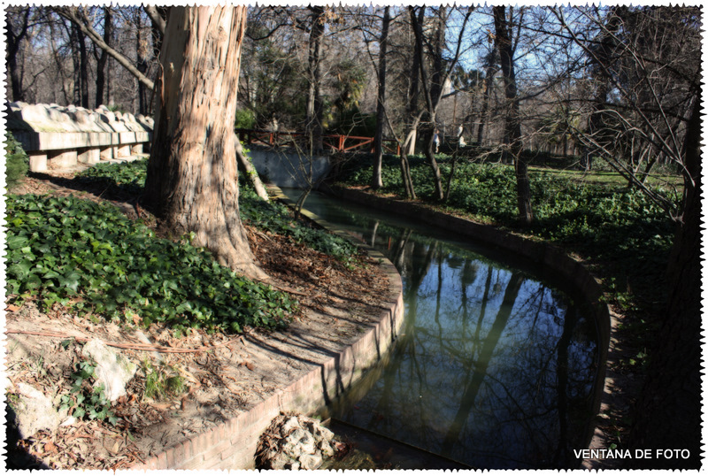 Foto: PARQUE DEL RETIRO - Madrid (Comunidad de Madrid), España