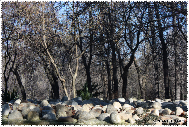 Foto: PARQUE DEL RETIRO - Madrid (Comunidad de Madrid), España