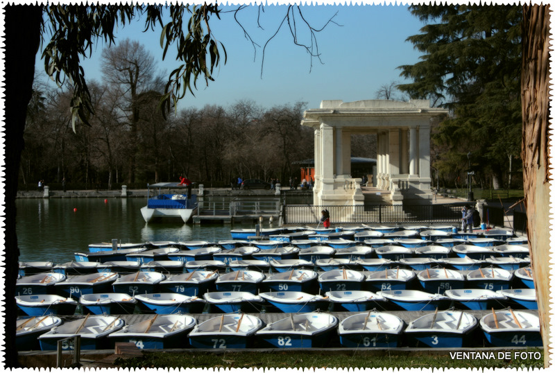 Foto: PARQUE DEL RETIRO - Madrid (Comunidad de Madrid), España