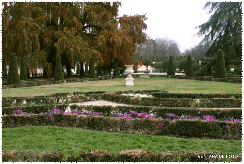 Foto: PARQUE DEL RETIRO - Madrid (Comunidad de Madrid), España