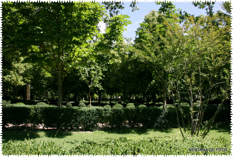 Foto: Jardines Palacio De Aranjuez(MADRID) - Aranjuez (Madrid), España