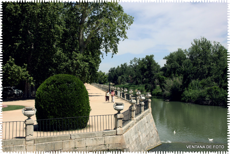 Foto: Jardines Palacio De Aranjuez (MADRID) - Aranjuez (Madrid), España