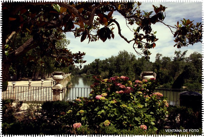 Foto: Jardines Palacio De Aranjuez (MADRID) - Aranjuez (Madrid), España
