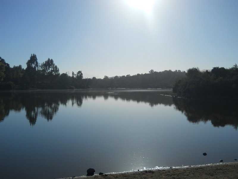 Foto: Laguna De Quilpue - Quilpue (Valparaíso), Chile