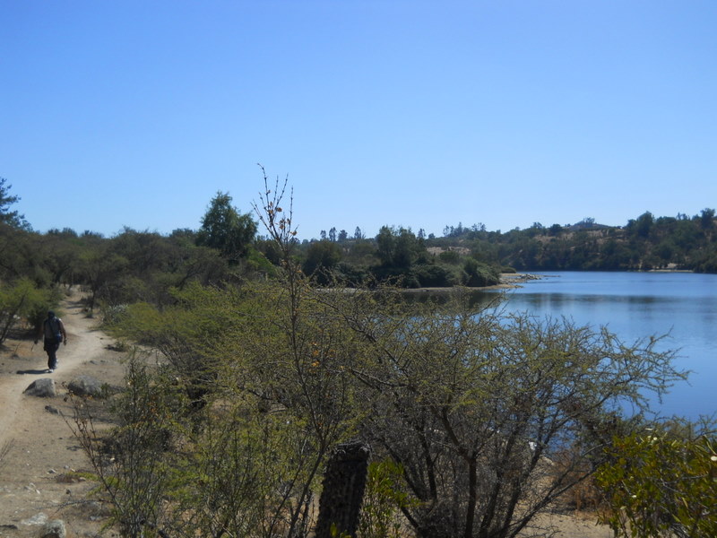 Foto: Laguna De Quilpue - Quilpue (Valparaíso), Chile