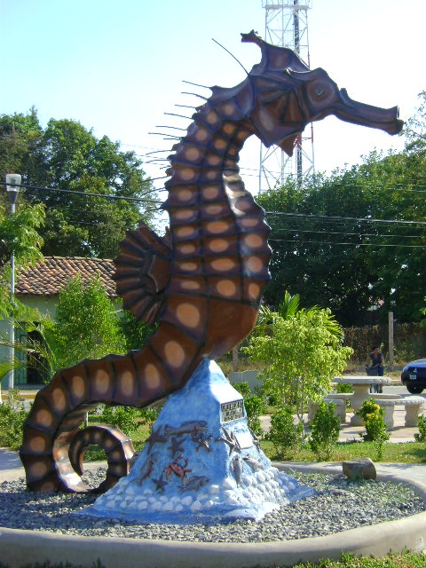 Foto: Caballito de Mar - San Lorenzo (Valle), Honduras