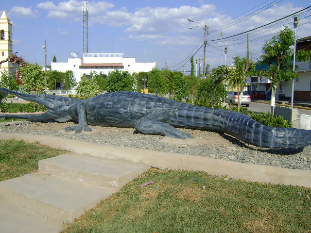 Foto: Cocodrilo - San Lorenzo (Valle), Honduras