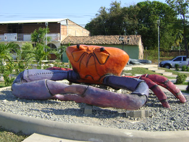 Foto: Cangrejo - San Lorenzo (Valle), Honduras
